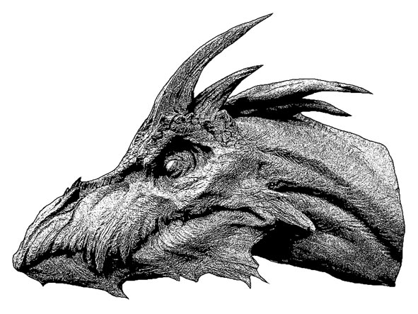 DRAGON5.jpg
