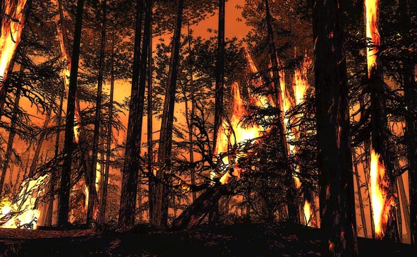 FOREST_FIRE.jpg
